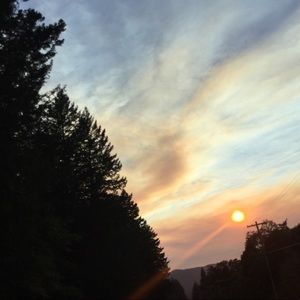 Meet your Posher, Barabara